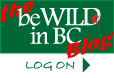 Quick link button to the WTA travel blog