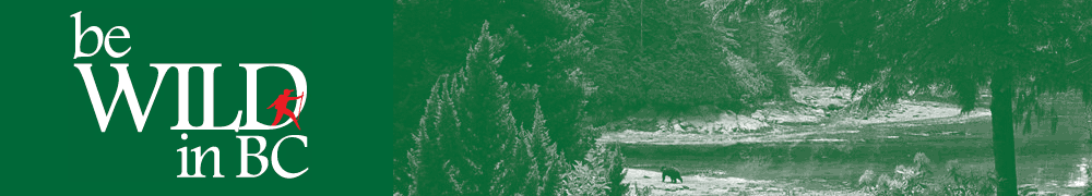 Be WILD in BC logo banner